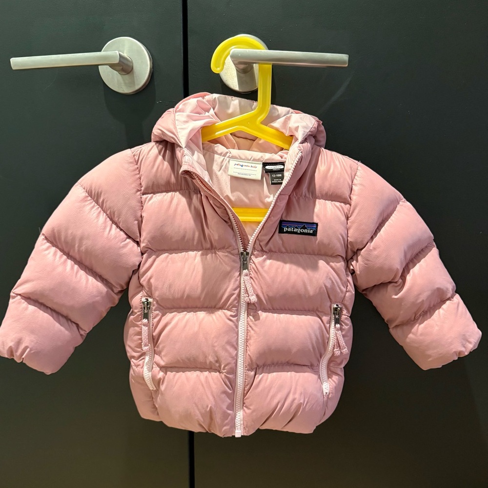 Patagonia Baby Hi-Loft Down Sweater Hoody